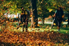 People operating a heavy duty leaf blower. Autumn cleaning leaves.